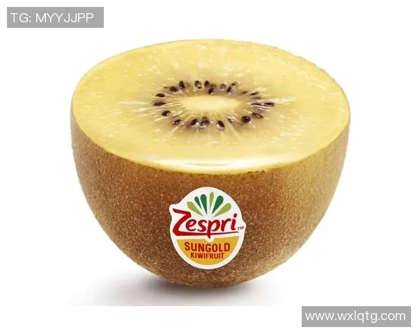 卡塔尔王子热情接见国际足球明星共话足球未来与合作发展