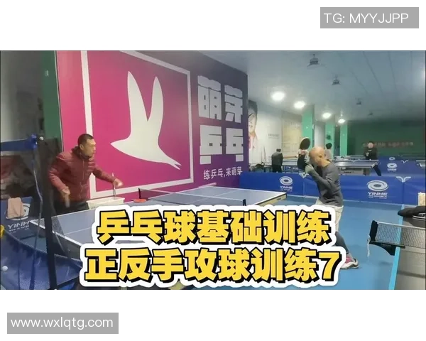 吴伟独家分享乒乓球技巧与心得助你提升球技的全面指南