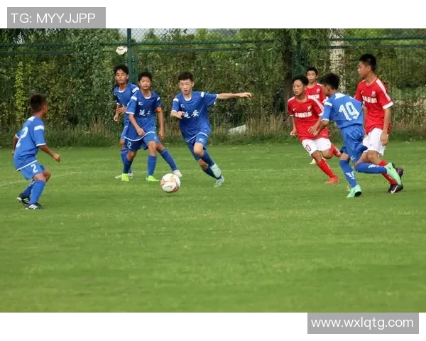 足球dag的魅力与热情探讨如何提升青少年足球水平与参与度